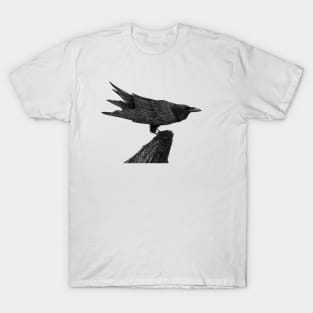 Raven on Log T-Shirt